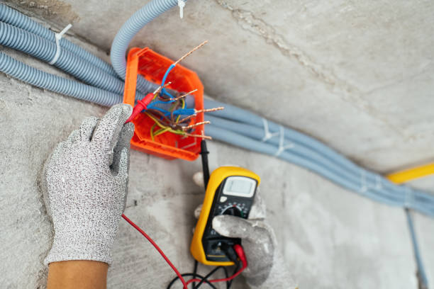 Best Electrician for Home Renovation  in Belleville, WI